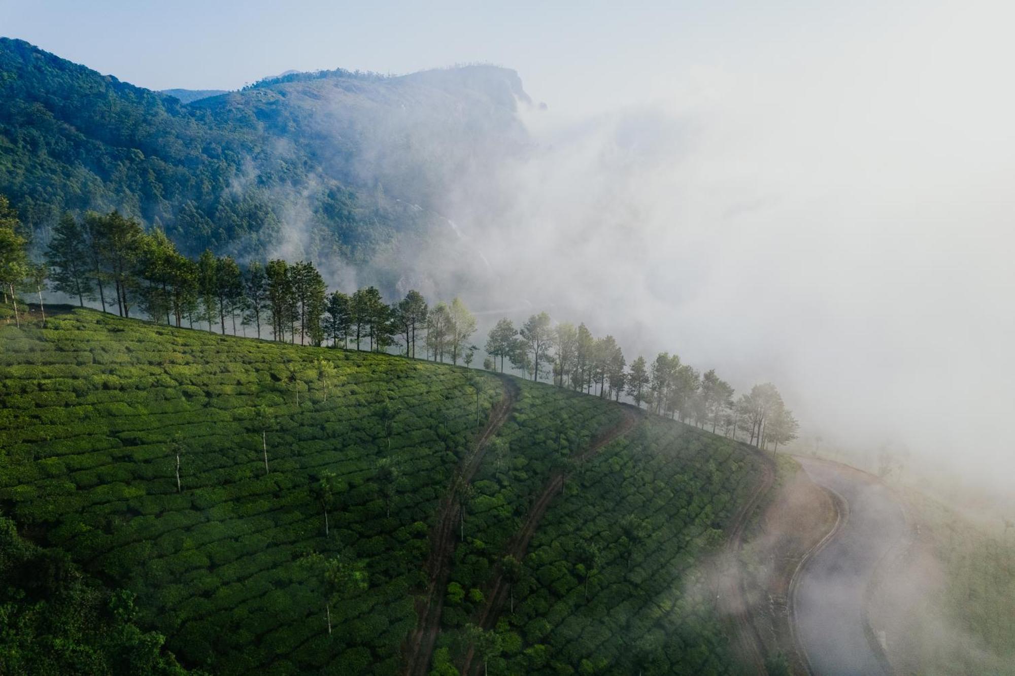 Misty Courtyard Resort Chinnakanal ภายนอก รูปภาพ